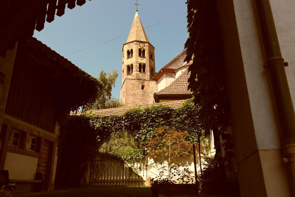 La Vieille Vigne Bed & Breakfast Gundolsheim エクステリア 写真